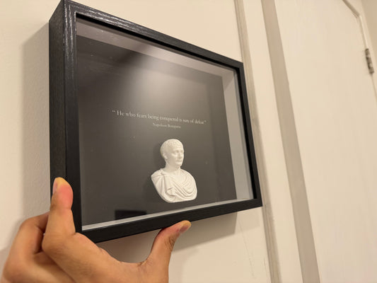 Framed 3D Wall Art – Napoleon Bonaparte quote 3d motivation